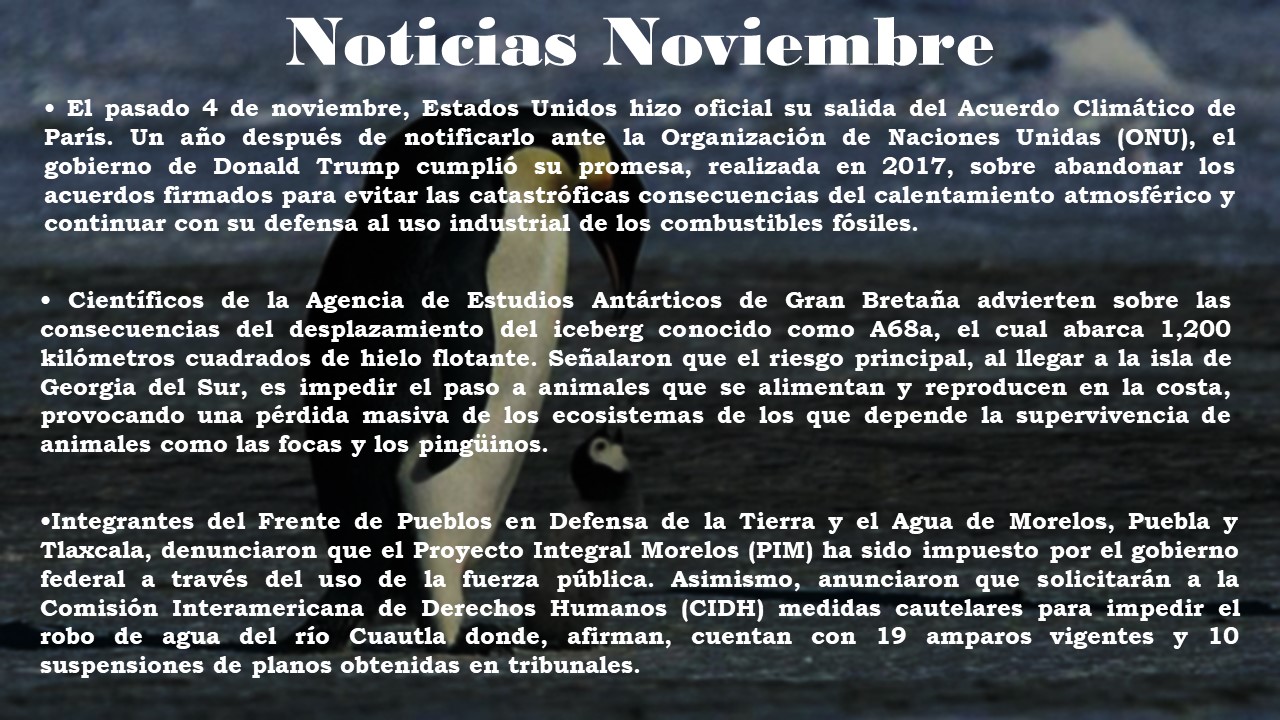 Noticias relevantes del mes de noviembre 2020