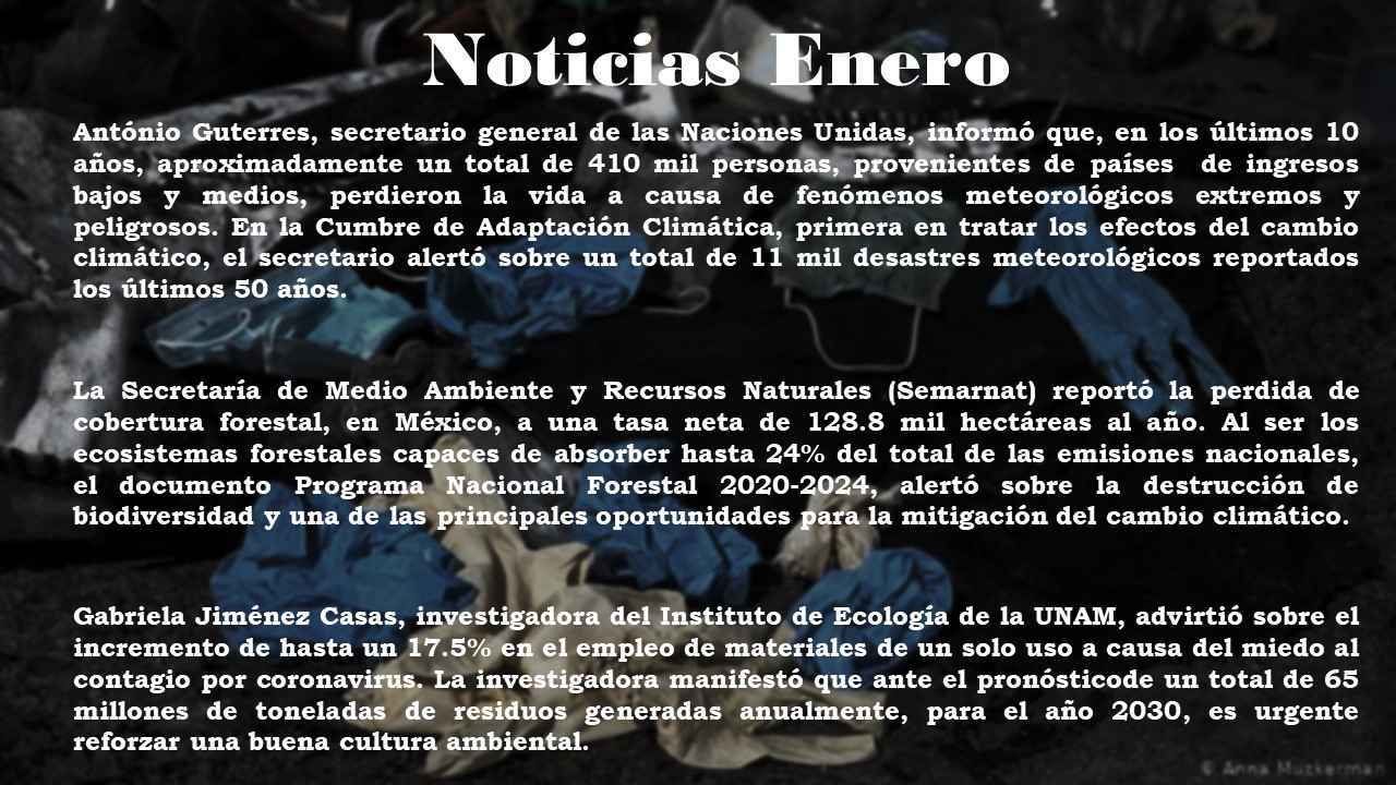 Noticias relevantes Enero 2021